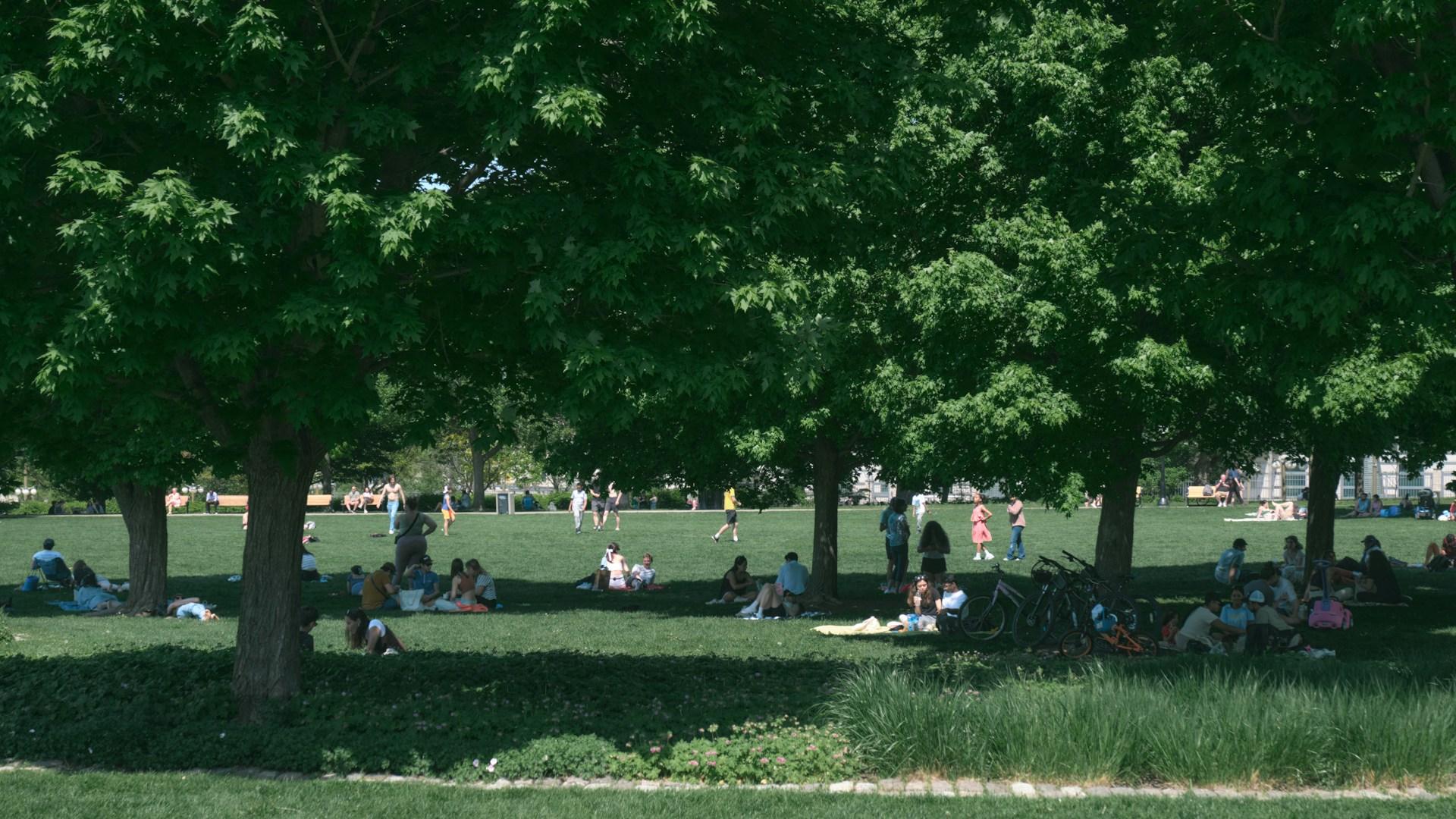 Add a spot in minutes